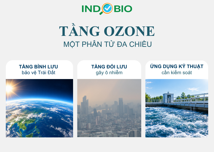 Ý nghĩa của tầng ozone